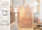 Preview: Schwein mit Kerze - doodle Stickdatei